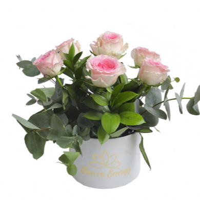 Spring Box