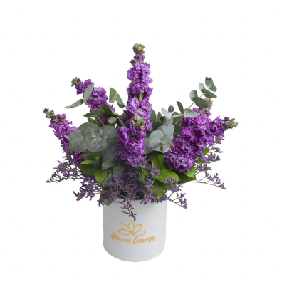 Purple Perfume Box