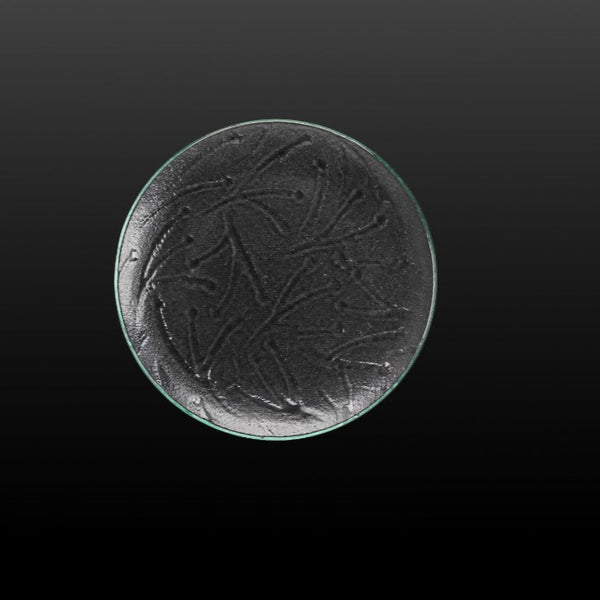 Plate Size 20.5 CM