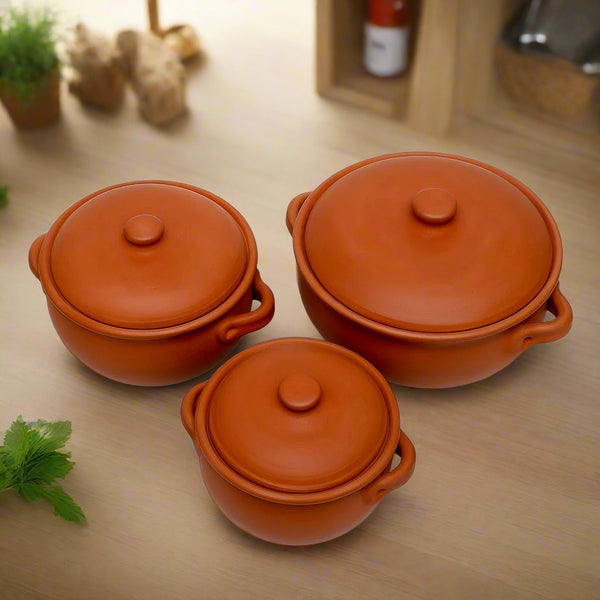 Terracotta Cooking Pots Set with Lids